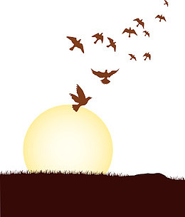 矢量自由飞翔的鸟儿