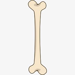 手绘卡通骨头创意字体英文字母i