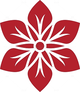 新年红花好评红花