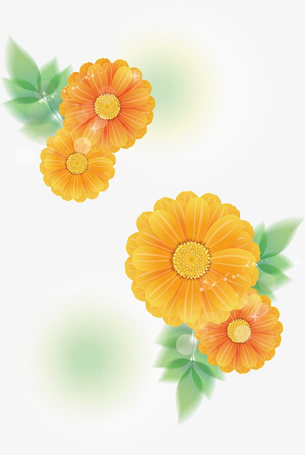 黄色菊花矢量图