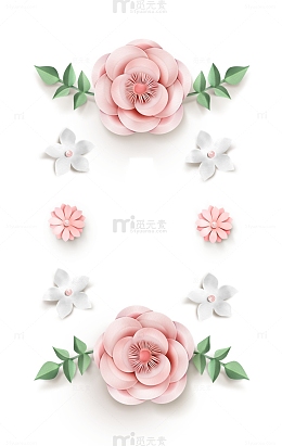 花 叶子 春天