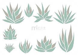 芦荟植物清爽无毒