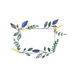 手绘花卉边框