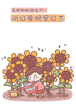 乌托邦的阳光向日葵观察日志
