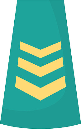 空军肩章