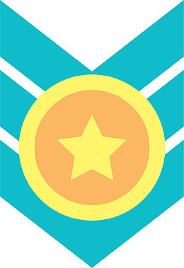 肩带空军