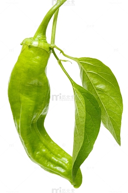 虎皮尖椒