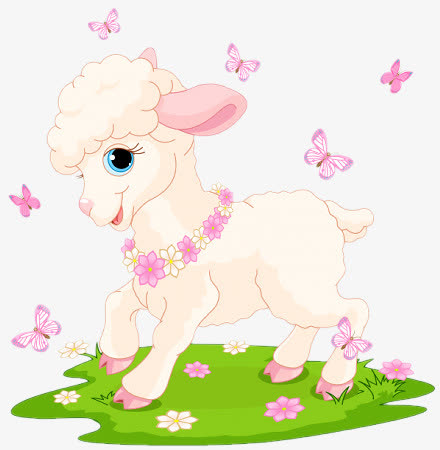 可爱动物小羊草地上玩耍
