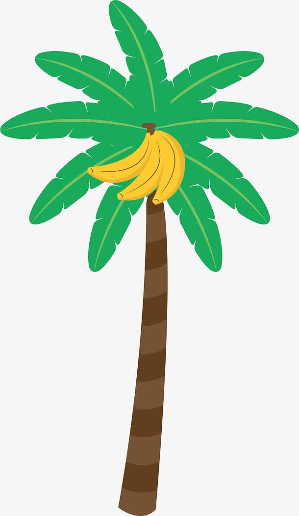 香蕉的树