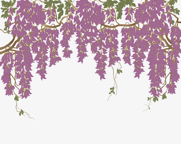 手绘紫藤背景