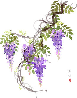 古风紫藤