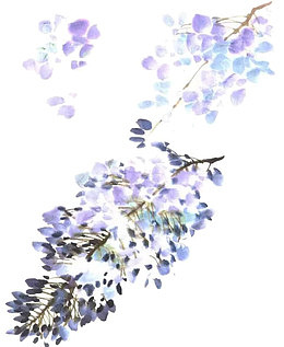 水墨紫藤绘画教学