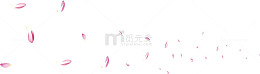 花，花瓣，花絮，淘宝素材，飘浮