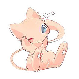 猫咪