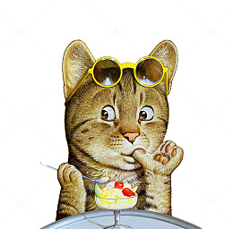 卖萌的猫咪