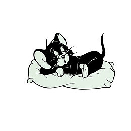 在睡觉的猫