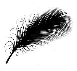 黑白羽毛矢量图