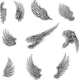 翅膀合集矢量图片