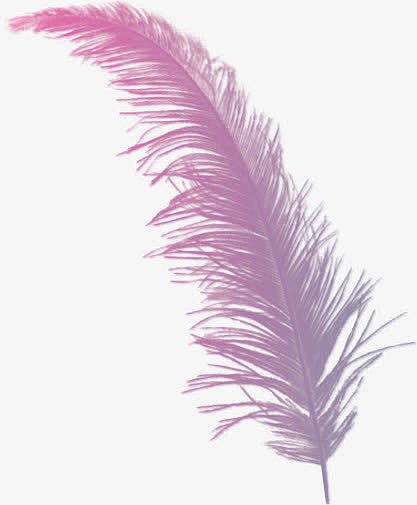 创意翅膀图片羽毛翅膀 紫色唯美