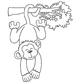 猴子爬树免抠PNG