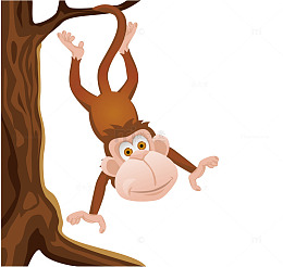 猴子爬树免抠PNG