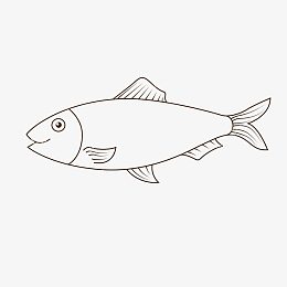 简笔画鲱鱼