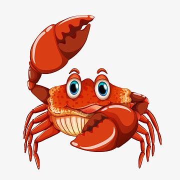 可爱的红色大闸蟹