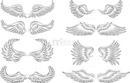 创意翅膀集合