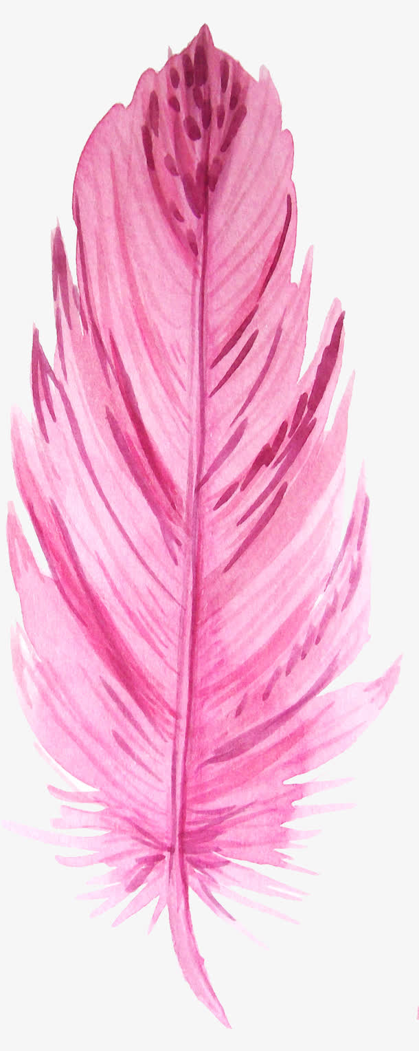 粉色手绘羽毛