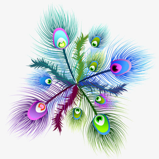 矢量彩色羽毛