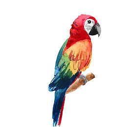 卡通手绘彩绘小鸟设计