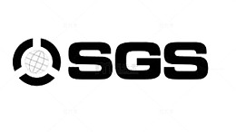 黑色简洁全球SGS认证图标免扣
