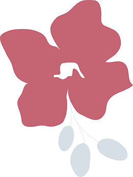 粉红花背景藏红花线框图