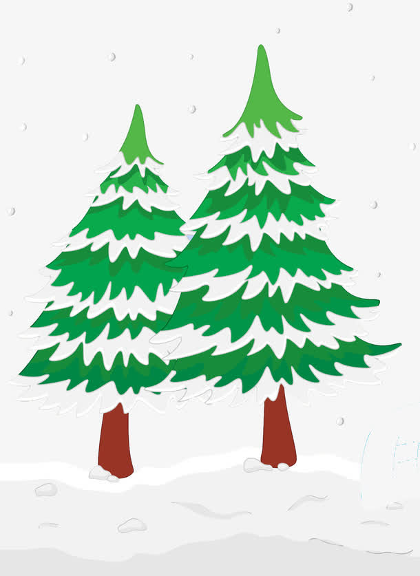 柏松上的雪