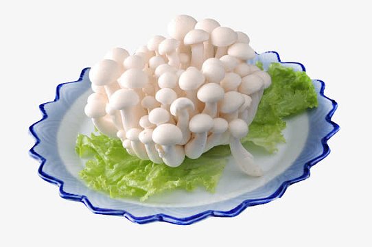 拼盘png金针菇素材png手绘食材菌类香菇psdpng手绘火锅创意元素图psd