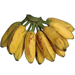 一串熟透的黄色小清新淘宝小米蕉