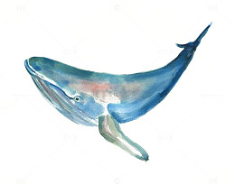 水彩鲸鱼