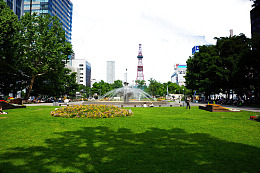 北海道大通公园大图