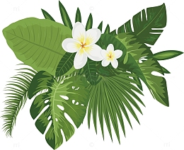 白色花朵标题框