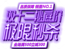 双十二限时秒杀