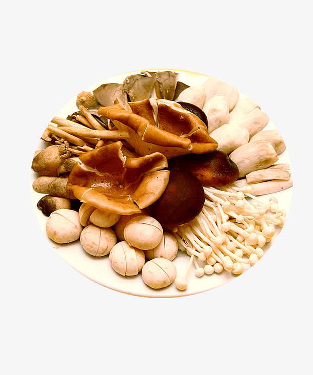 蘑菇菌类拼盘摄影