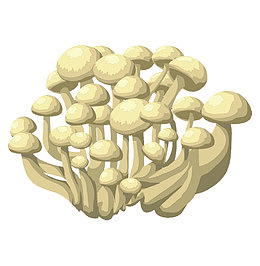 简笔画食材金针菇