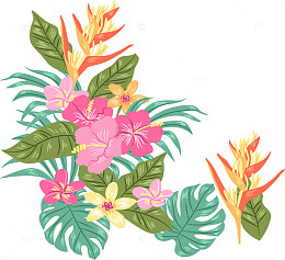 美丽的夏花