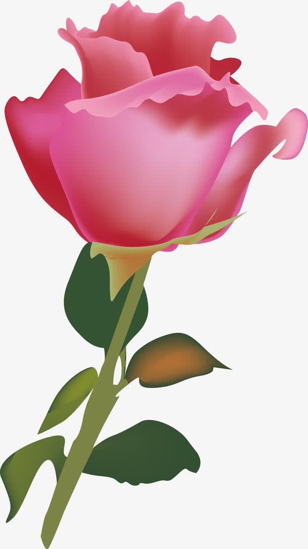 盛开的花png下载