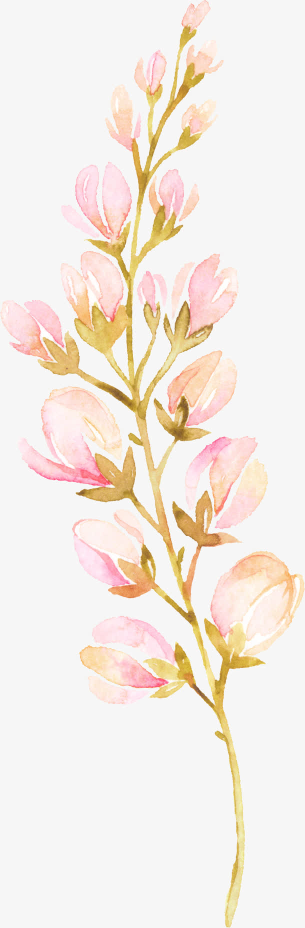 手绘鲜花免抠素材免费下载_觅元素51yuansu.com