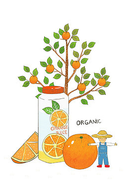 手绘橙子树
