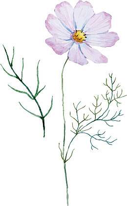 手绘花朵矢量花朵排版