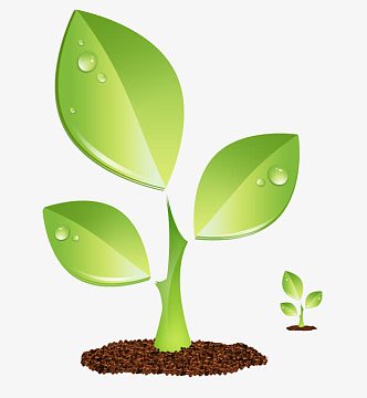 简笔画植物素材_简笔画植物图片元素-觅元素