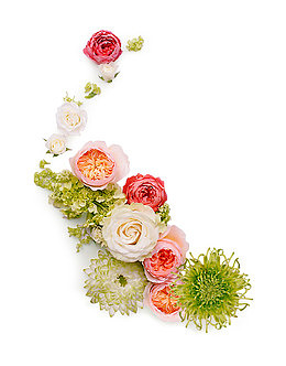 漂亮的花