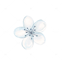 蓝色系彩绘花朵图案
